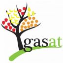 GASat
