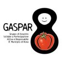 Gaspar8