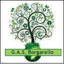 GAS Borgarello