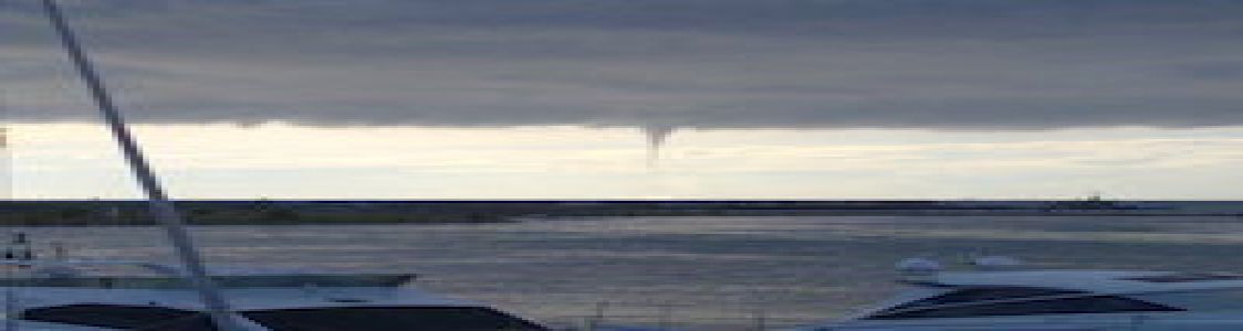 Riccardo Pollastrini