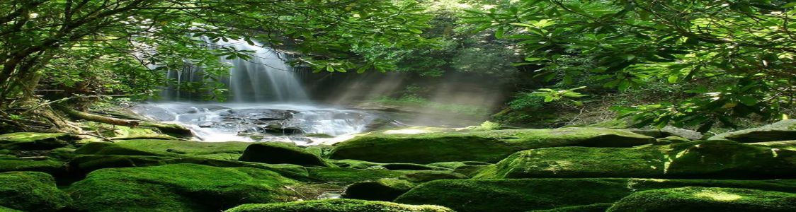 Francesco Santarelli