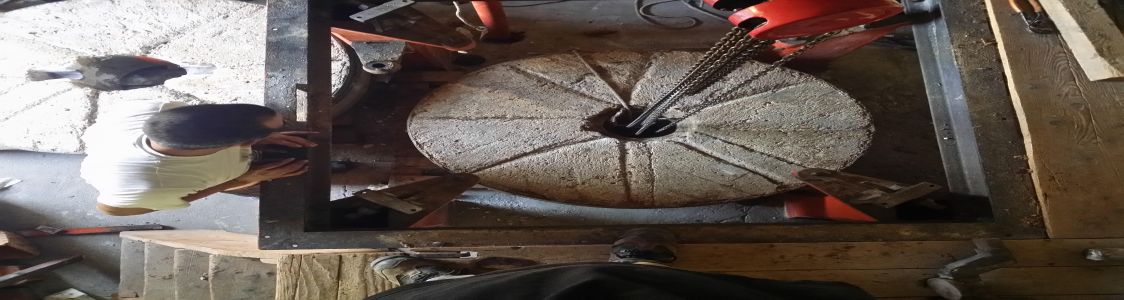 Rosario Claudio La Placa