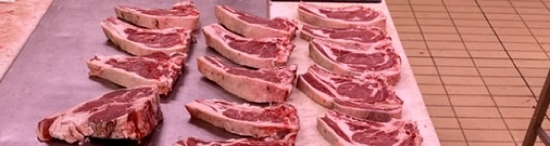 Admin Aberdeen Angus Salentino