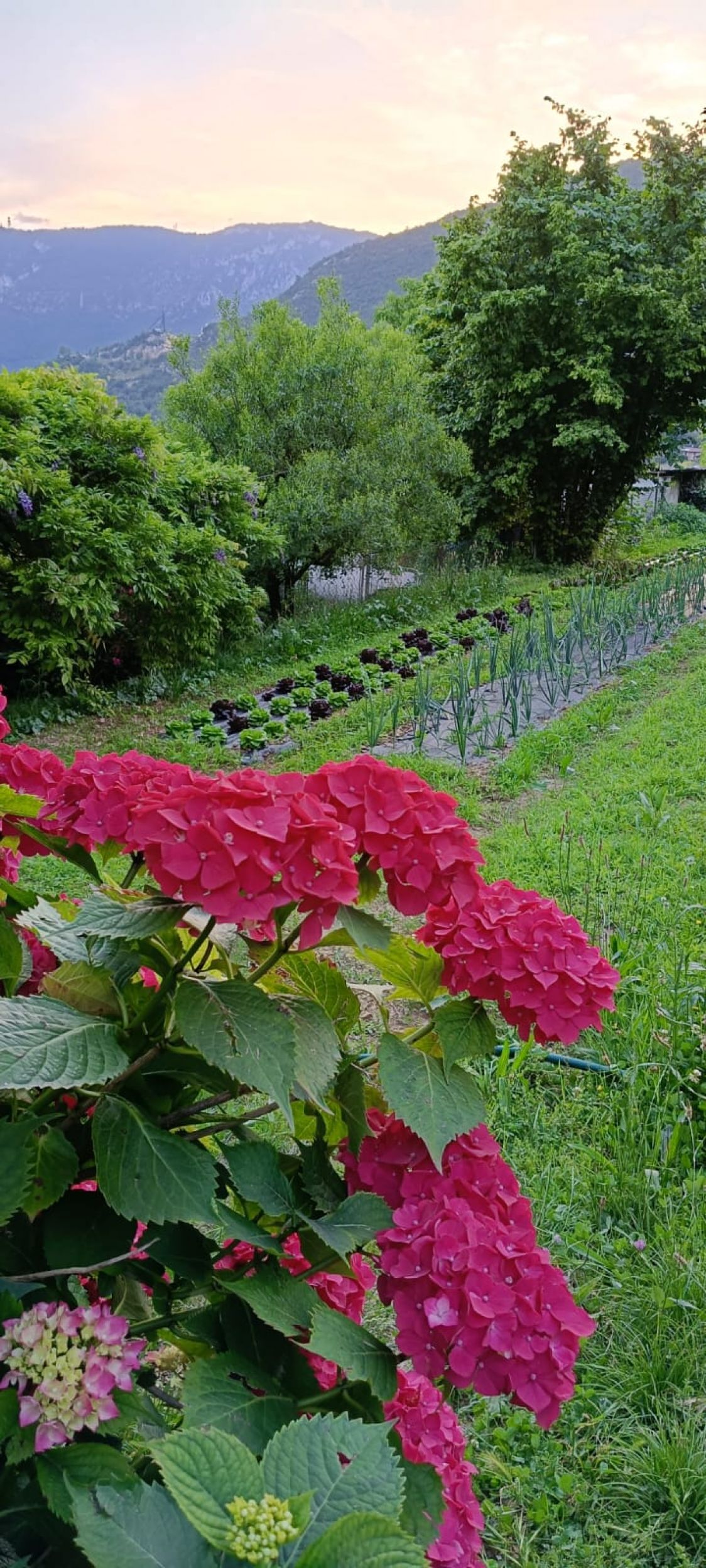 Az. Agr. Etcetera Pighetti